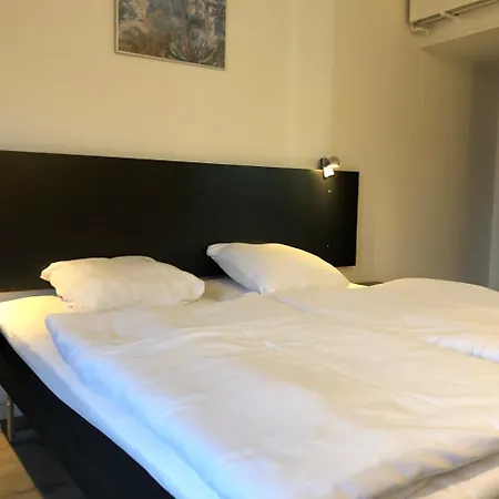 Hotel Aulum 3*