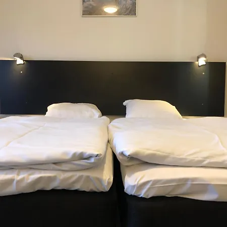 Aulum Hotel 3*